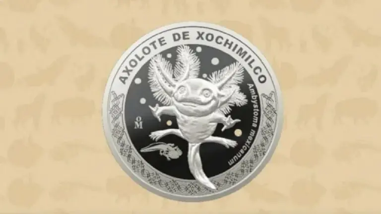 Moneda del Ajolote: ¿Cuánto cuesta y dónde comprarla? Foto: La Casa de la Moneda