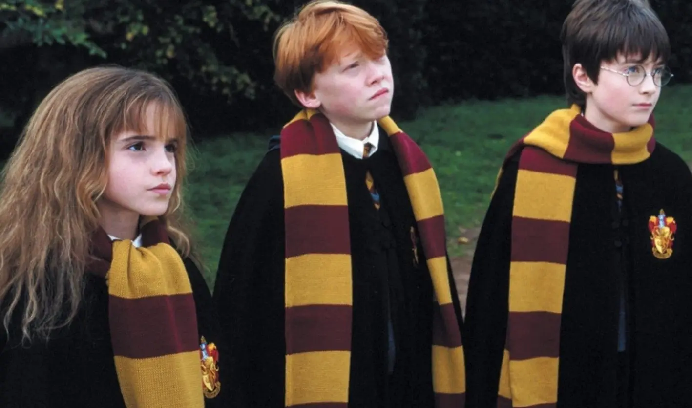Harry Potter ha sido una de las sagas m&aacute;s exitosas que se llev&oacute; al cine y en 2001 se estren&oacute; la primera parte. La historia gira alrededor de un ni&ntilde;o de 11 a&ntilde;os que es hijo de dos poderosos hechiceros e ingresa al Colegio Hogwarts de Magia y Hechicer&iacute;a para convertirse en mago.