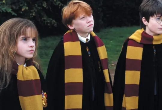 Harry Potter ha sido una de las sagas más exitosas que se llevó al cine y en 2001 se estrenó la primera parte. La historia gira alrededor de un niño de 11 años que es hijo de dos poderosos hechiceros e ingresa al Colegio Hogwarts de Magia y Hechicería para convertirse en mago.