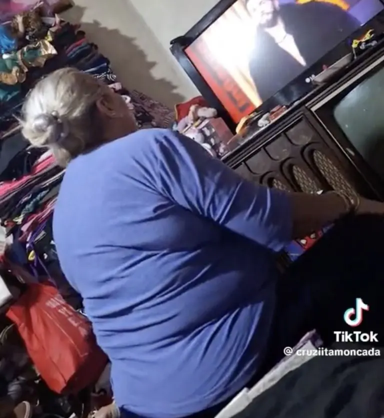La Casa de los Famosos: mujer se hace viral por insultar a 'La Barby' Juárez. Foto: Tik Tok