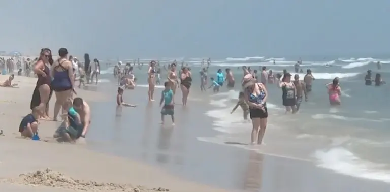 Tiburón ataca a mujer que nadaba en playa de Nueva York. Foto: Telemundo