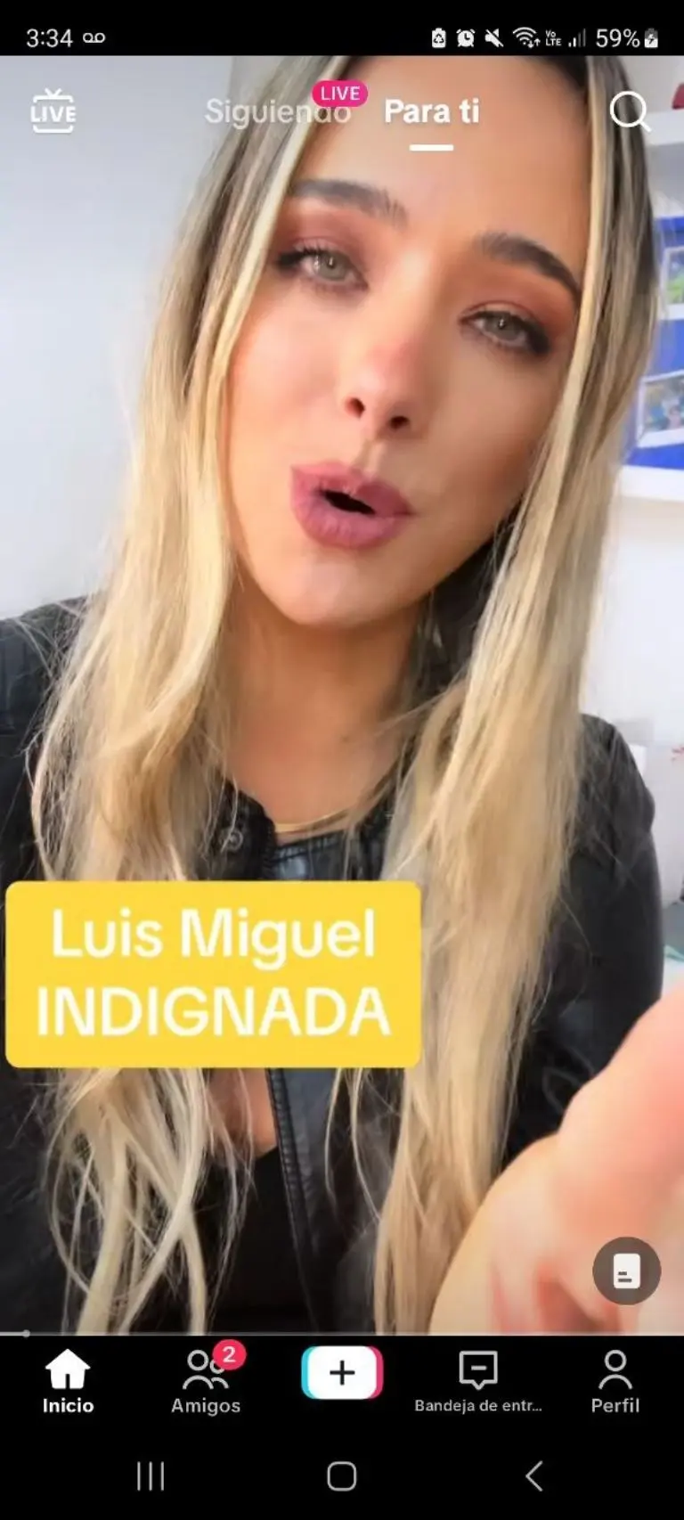 Fan de Luis Miguel defiende al artista - Tomada de video