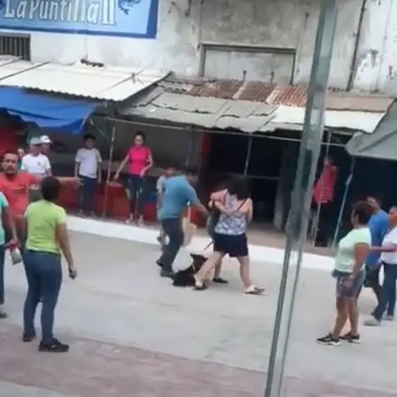 De acuerdo con testigos, la propietaria del animal se neg&oacute; a recoger los desechos de su mascota, lo que desencaden&oacute; una violenta confrontaci&oacute;n con una vendedora de comida 