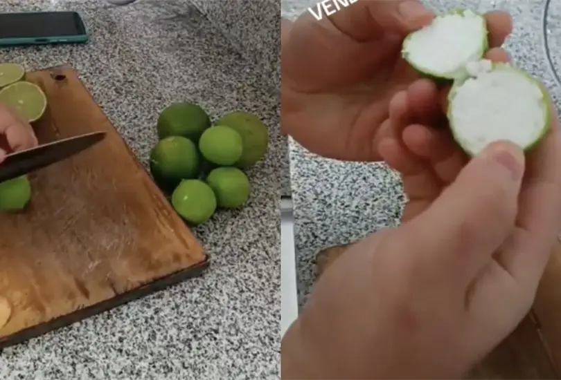 Es toda una obra de arte ese limón Es toda una obra de arte ese limón