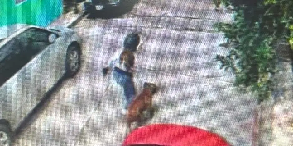 Perro ataca a ni&ntilde;o en la calle y lo deja gravemente herido en Morelos. 