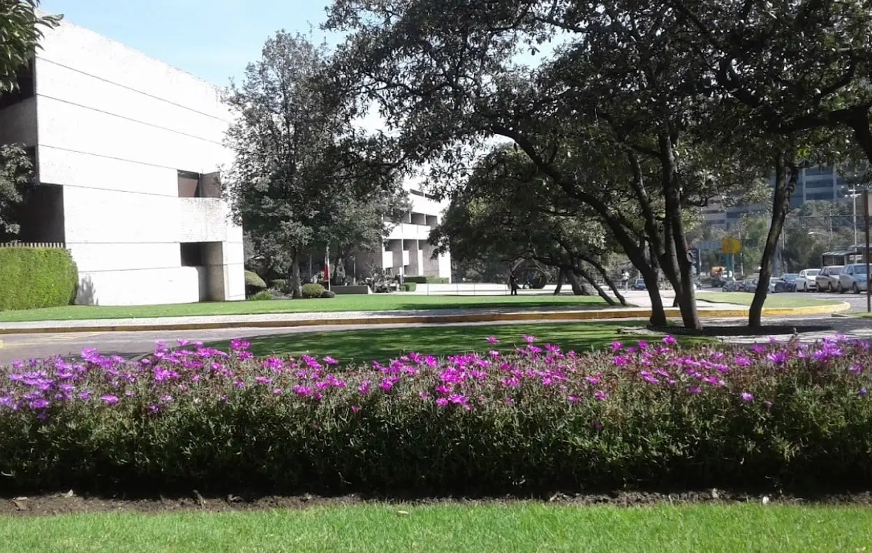 Se especializa en la docencia, así como en investigación en humanidades y ciencias sociales.