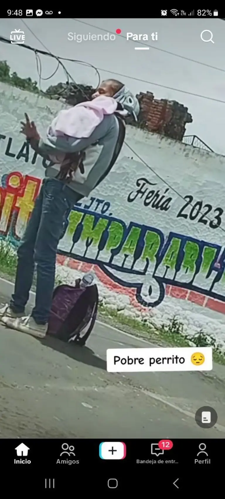 Mujer disfraza a su perro de bebé para pedir dinero - Tomada de video