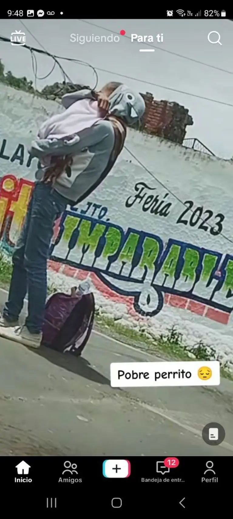 Mujer disfraza a su perro de bebé para pedir dinero - Tomada de video