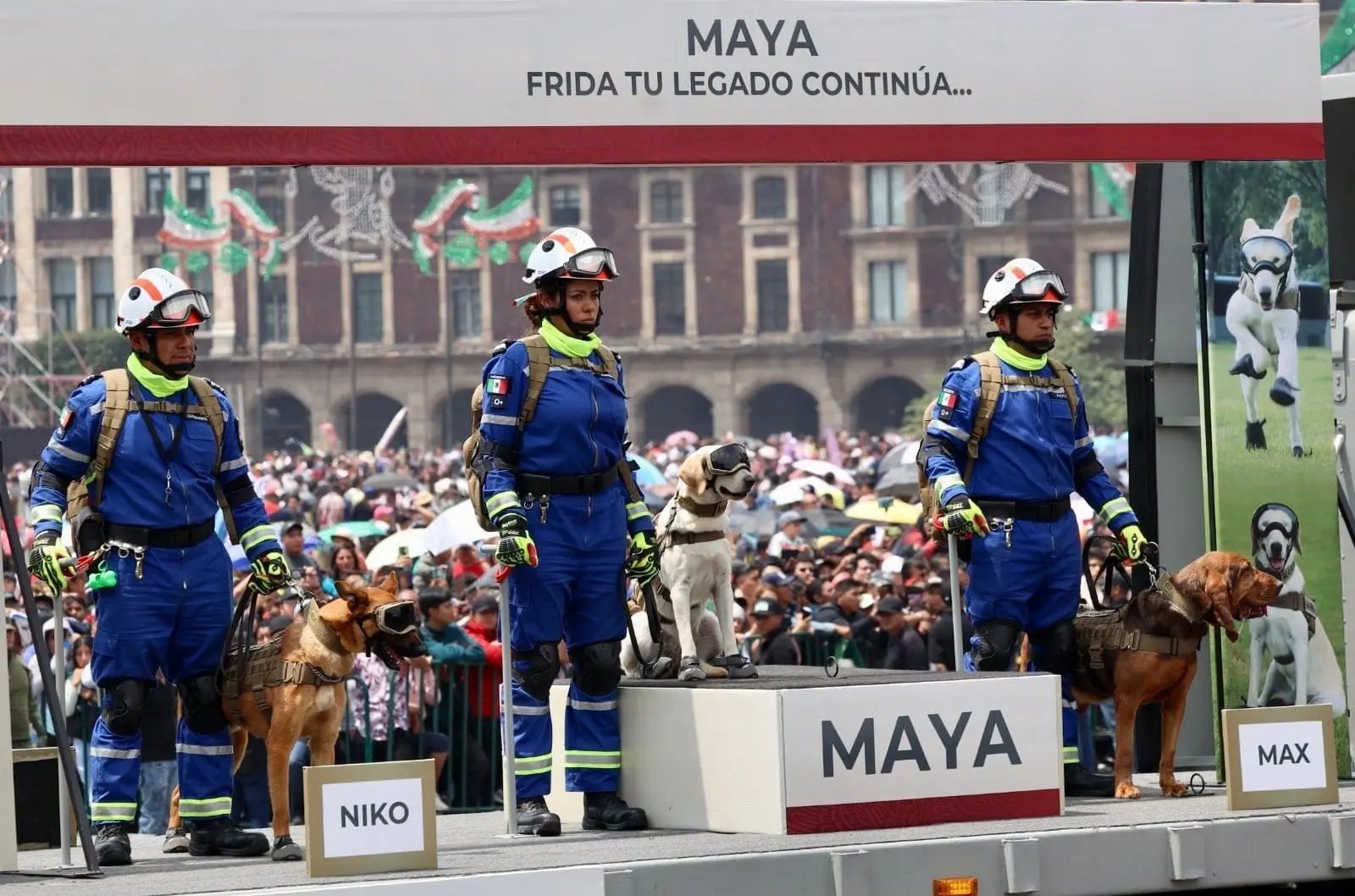Max, Nico, Maya, Jedda y Arkadas, cinco binomios caninos de búsqueda técnica y extracción participaron en el Desfile Militar. 