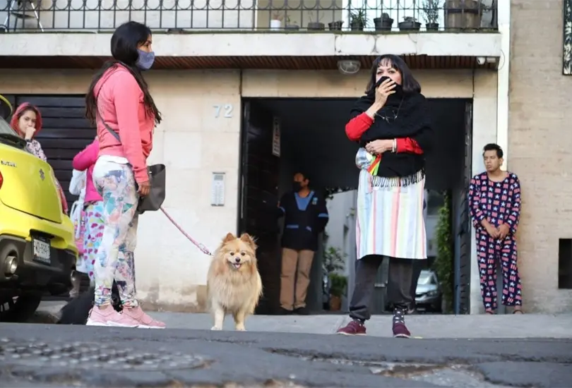 &iquest;Qu&eacute; hacer con tus mascotas en caso de sismo? Prep&aacute;rate para simulacros y terremotos reales. 