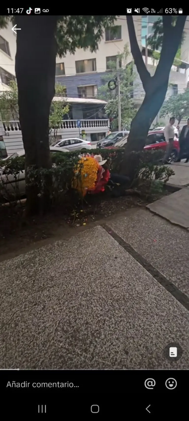El Patrón cae con ramo de flores amarillas - Tomada de video