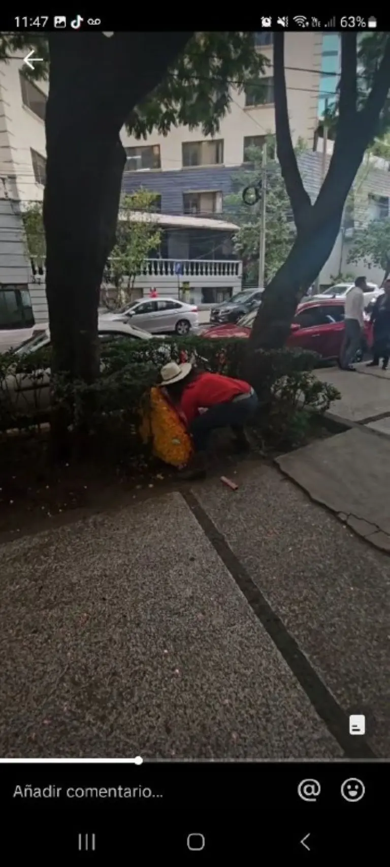 El Patrón cae con ramo de flores amarillas - Tomada de video