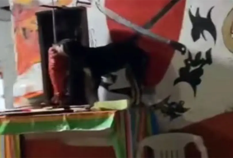 "Cuando vas por tus taquitos y de repente se te quitan las ganas" dice el video que ya acumula m&aacute;s de 69 mil me gusta y 44 mil compartidas