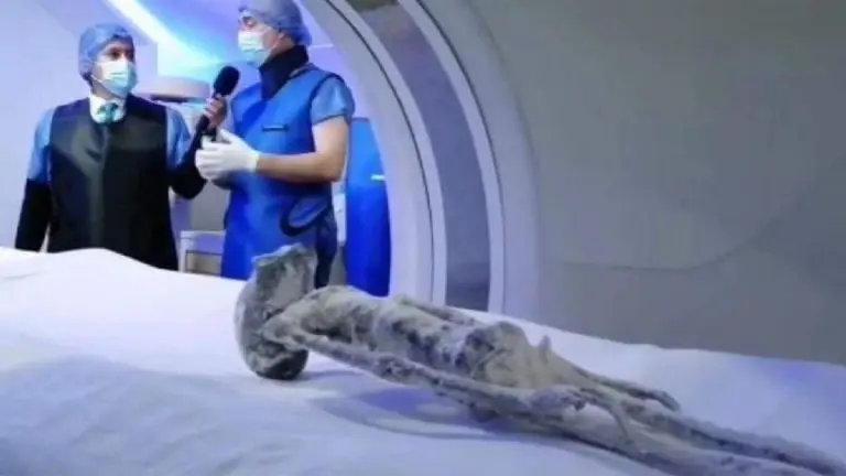 VIDEO Realizan Rayos X a cuerpos extraterrestres de Jaime Maussan y le dan la razón. Foto: Youtube