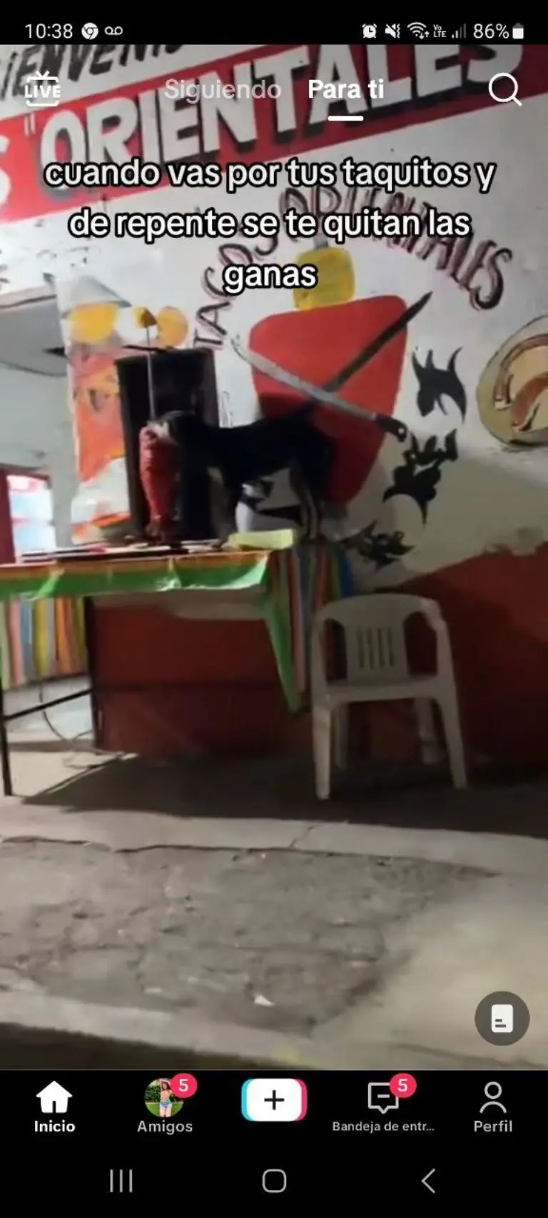 Perrito muerde trompo de tacos de pastro - Tomada de video
