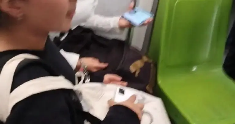 Jóvenes son esposadas por quedarse dormidas - Tomada de video