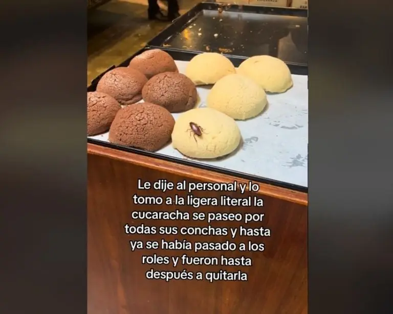 Clienta encuentra cucaracha en panadería (TikTok)