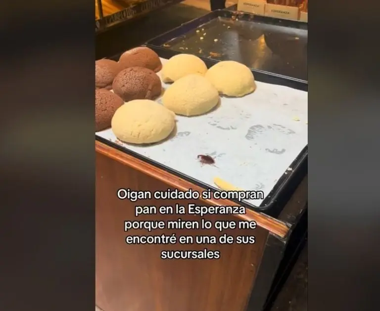 Clienta encuentra cucaracha en panadería (TikTok)