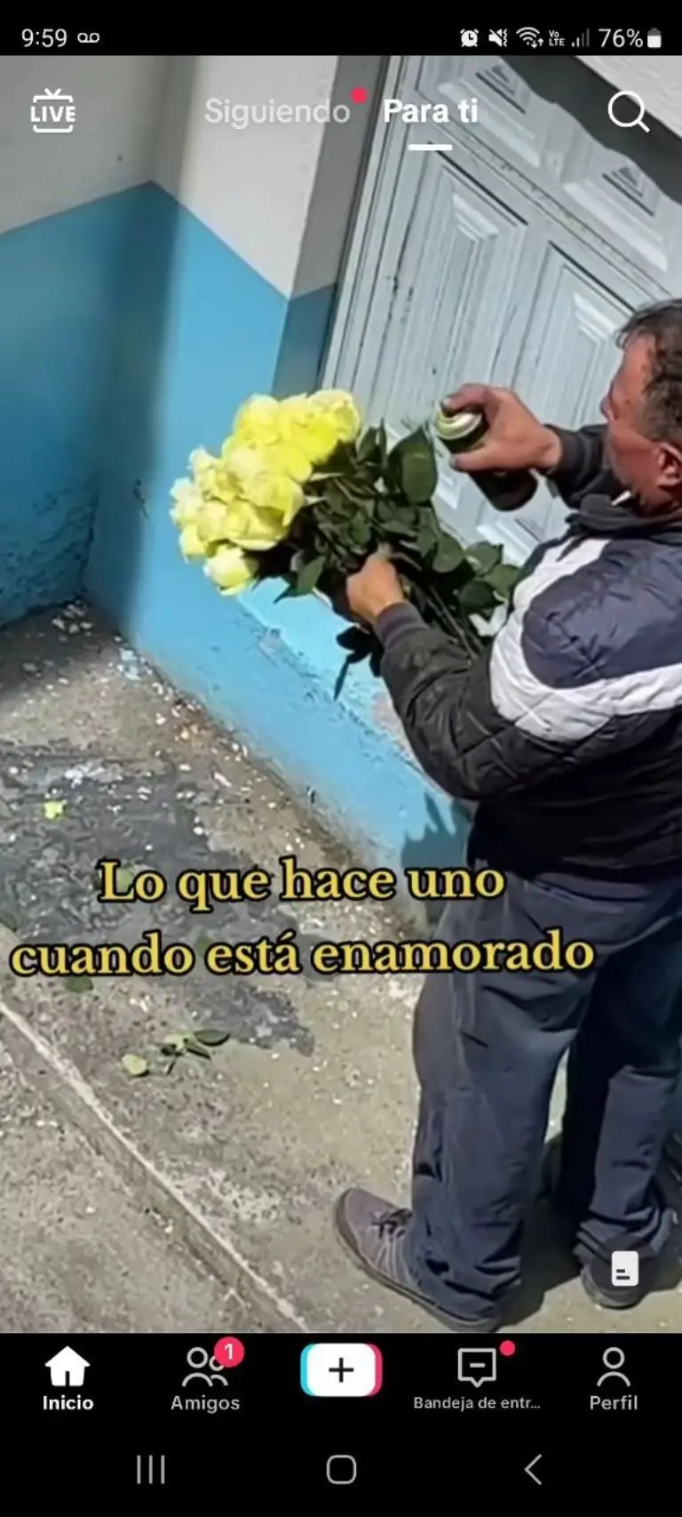Hombre pinta rosas de amarillo- Tomada de video