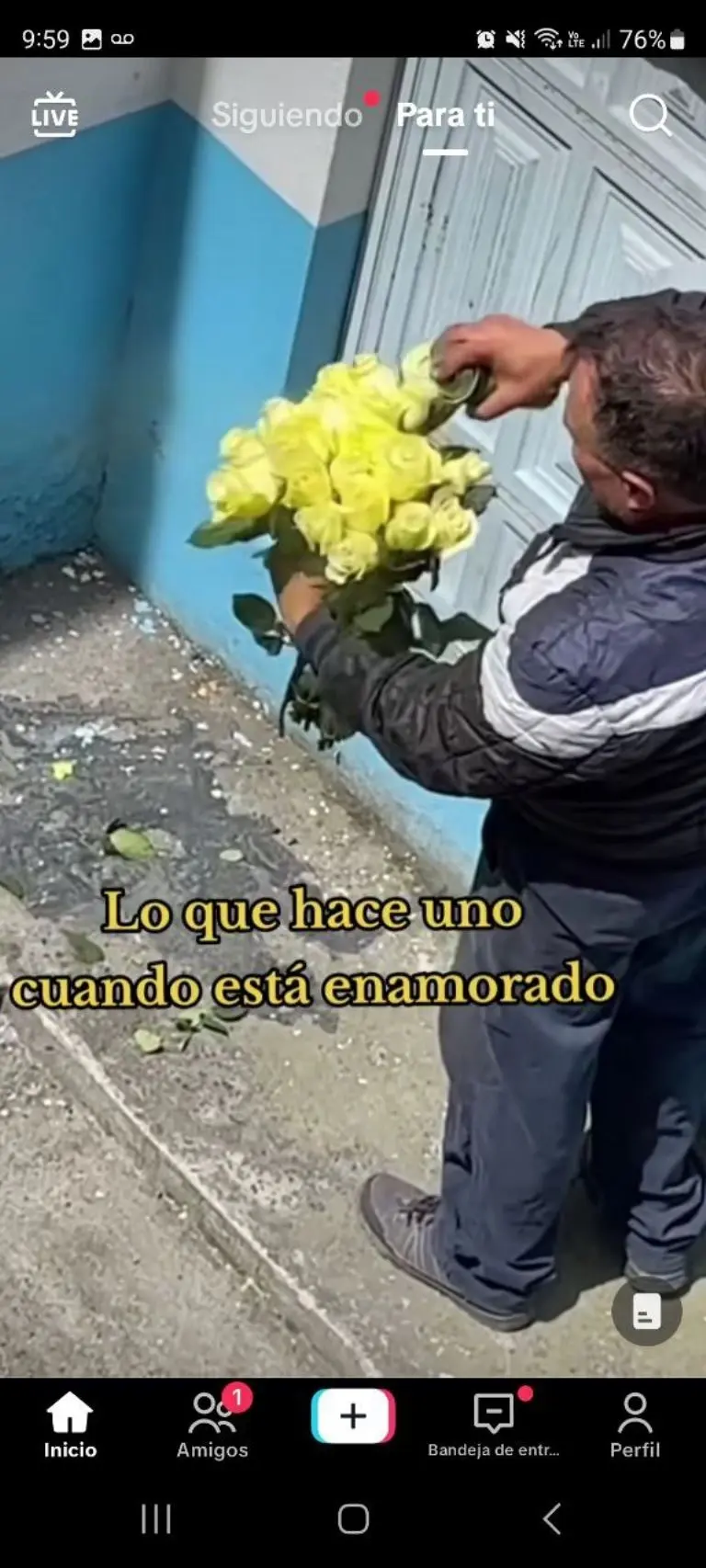 Hombre pinta rosas de amarillo- Tomada de video