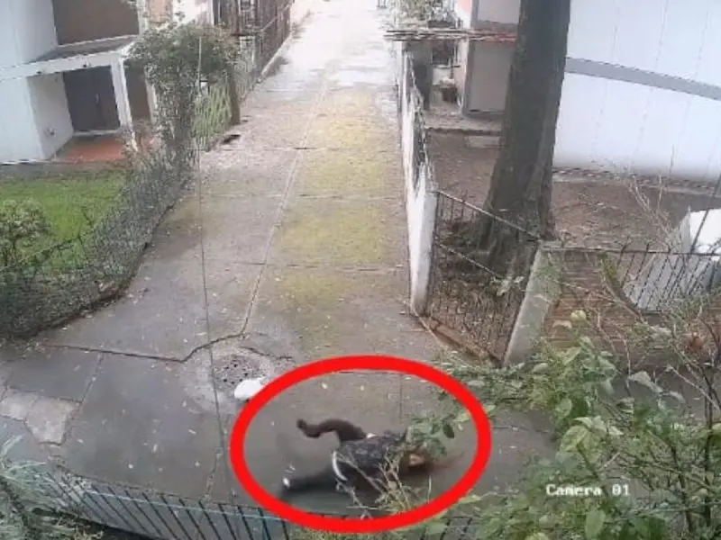 Vecinos de lugar aseguran que el hombre ha asaltado a otras personas. 