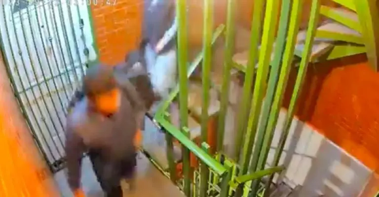 Créditos: Captura de video