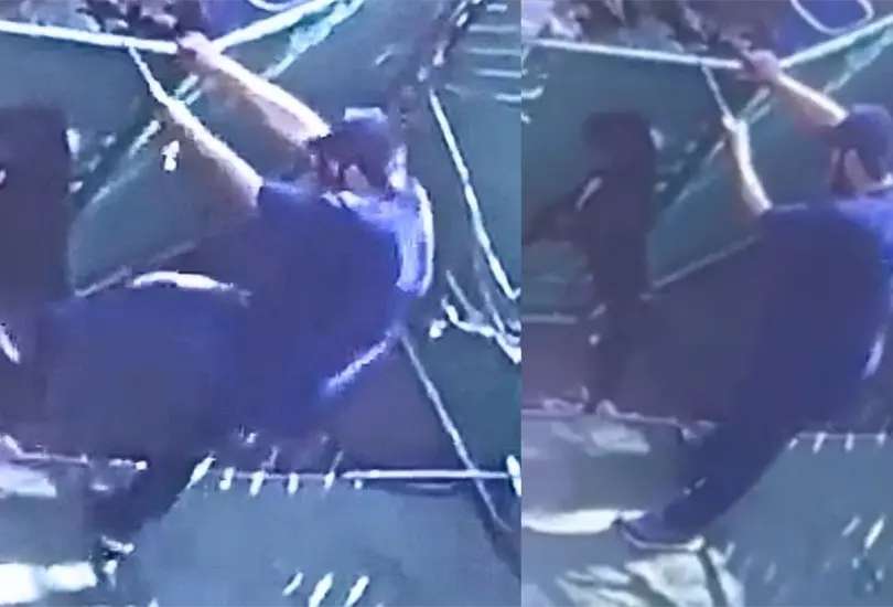 Filtran video de hombre que golpea a perrito en hotel para perros Dog Time CDMX. 