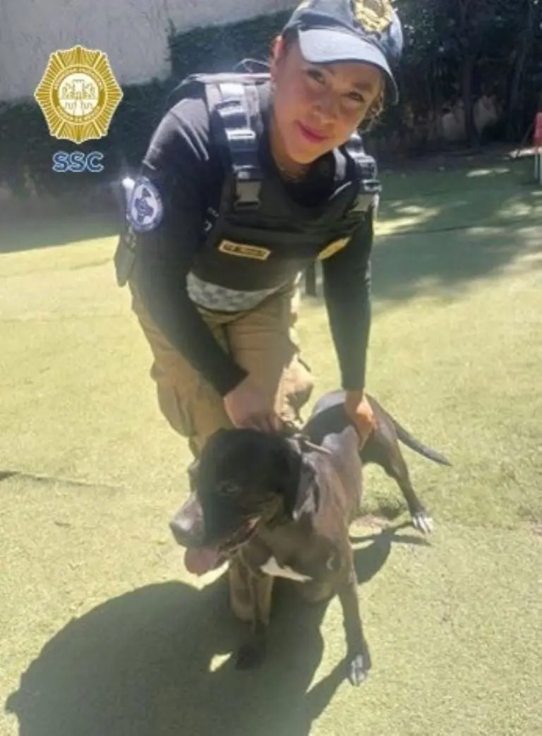 Policías de la Brigada de Vigilancia Animal rescatan al perrito en Dog Time. Foto: SSC