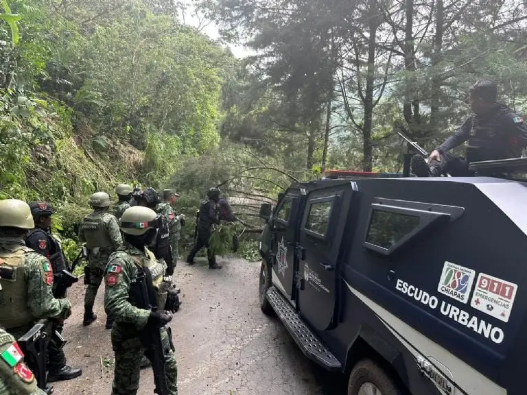 CFE y Fuerzas Armadas Créditos: Especial