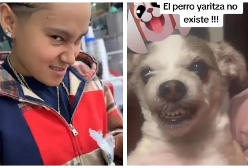 Perrito imita a Yahritza
