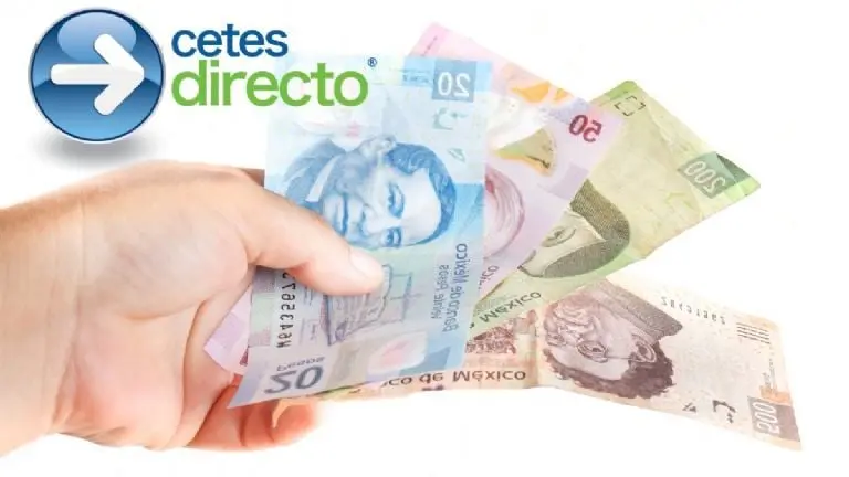 CETES Directo: ¿Cuánto dinero ganas por cada 100 pesos que inviertes en la aplicación? Canva