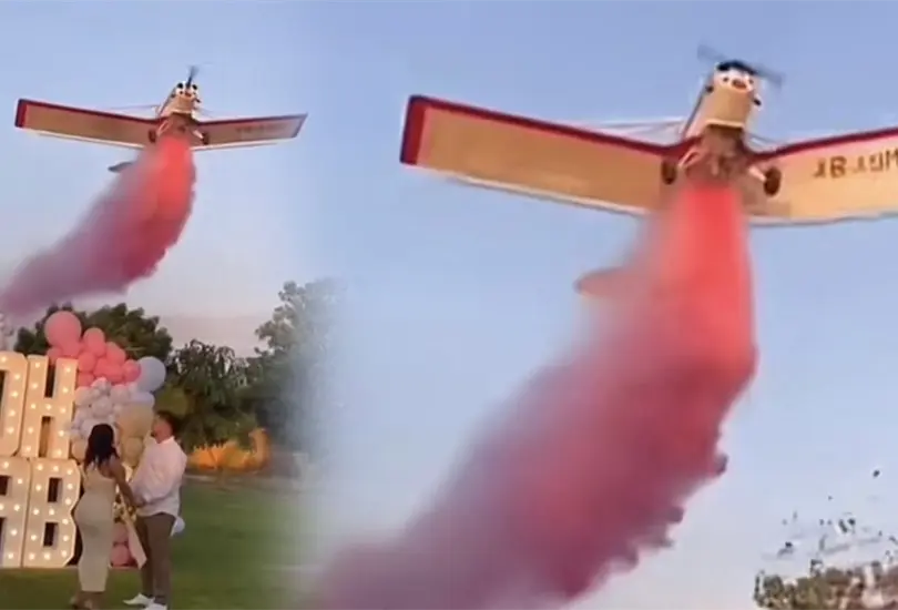El piloto de la avioneta no sobrevivi&oacute; 