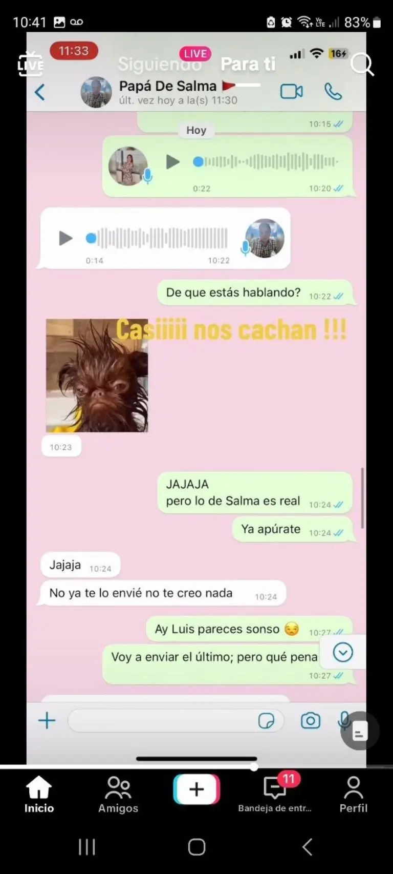 Broma a papá de audio Vaca Lolca - Tomada de video