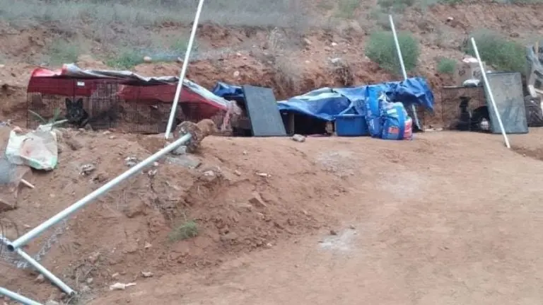 Máquinas de construcción aplastan refugio con perros y gatos en Baja California. Foto: Lety Varela