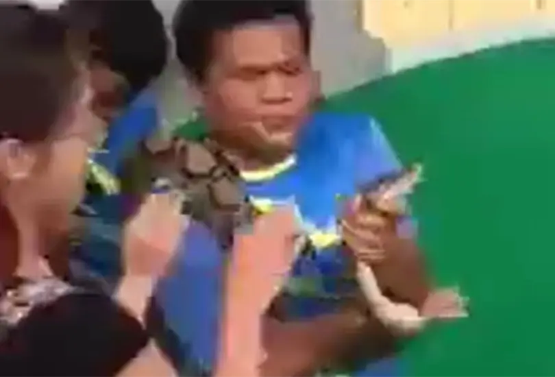 Serpiente muerde a joven en el rostro Serpiente muerde a joven en el rostro
