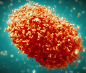 Síntomas del Mpox, el virus que se ha convertido en alerta mundial y que ya llegó a México