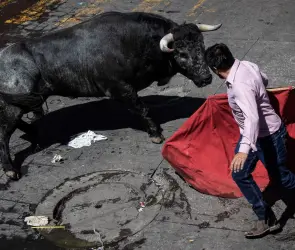 VIDEO | Captan el brutal momento en el que un toro embiste y deja inconsciente a un joven