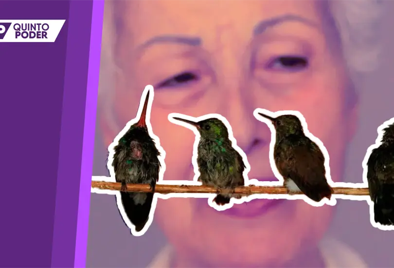 Catia Lattouf, cuidadora y rehabilitadora de colibr&iacute;s en CDMX