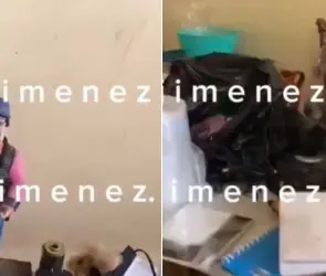 Descubren altar de líder de la Unión Tepito; adoraba a El Chapo