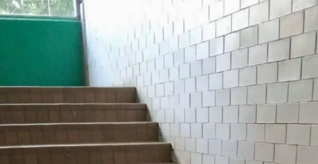 Escaleras donde falleció el estudiante de 15 años. Especial