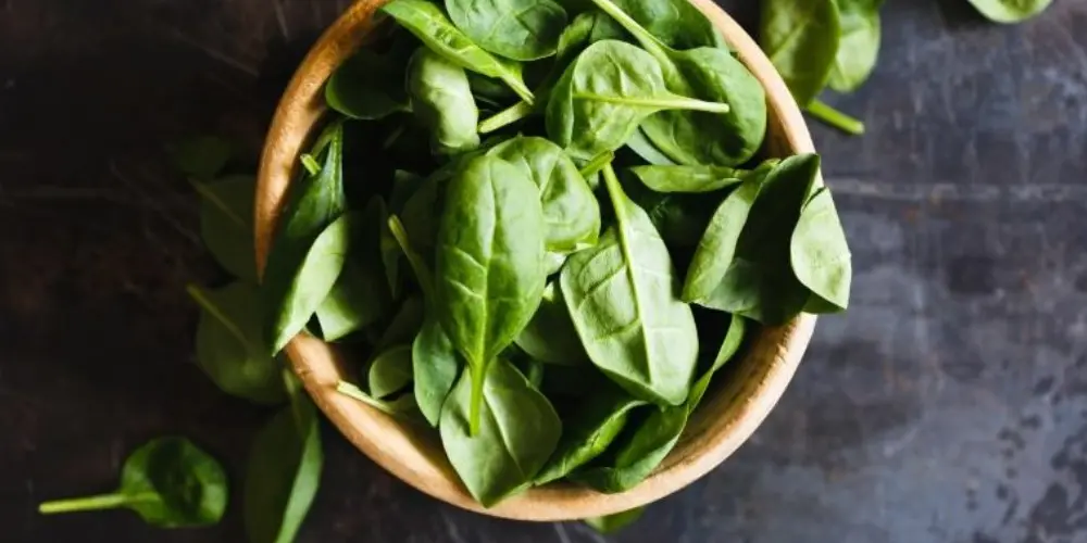 Las espinacas se destacan como uno de los alimentos que más favorecen la producción de colágeno Especial