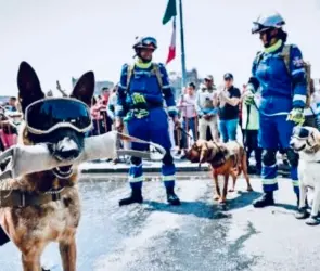 Binomios caninos: ¿qué fue de los salvadores del 19 de septiembre?