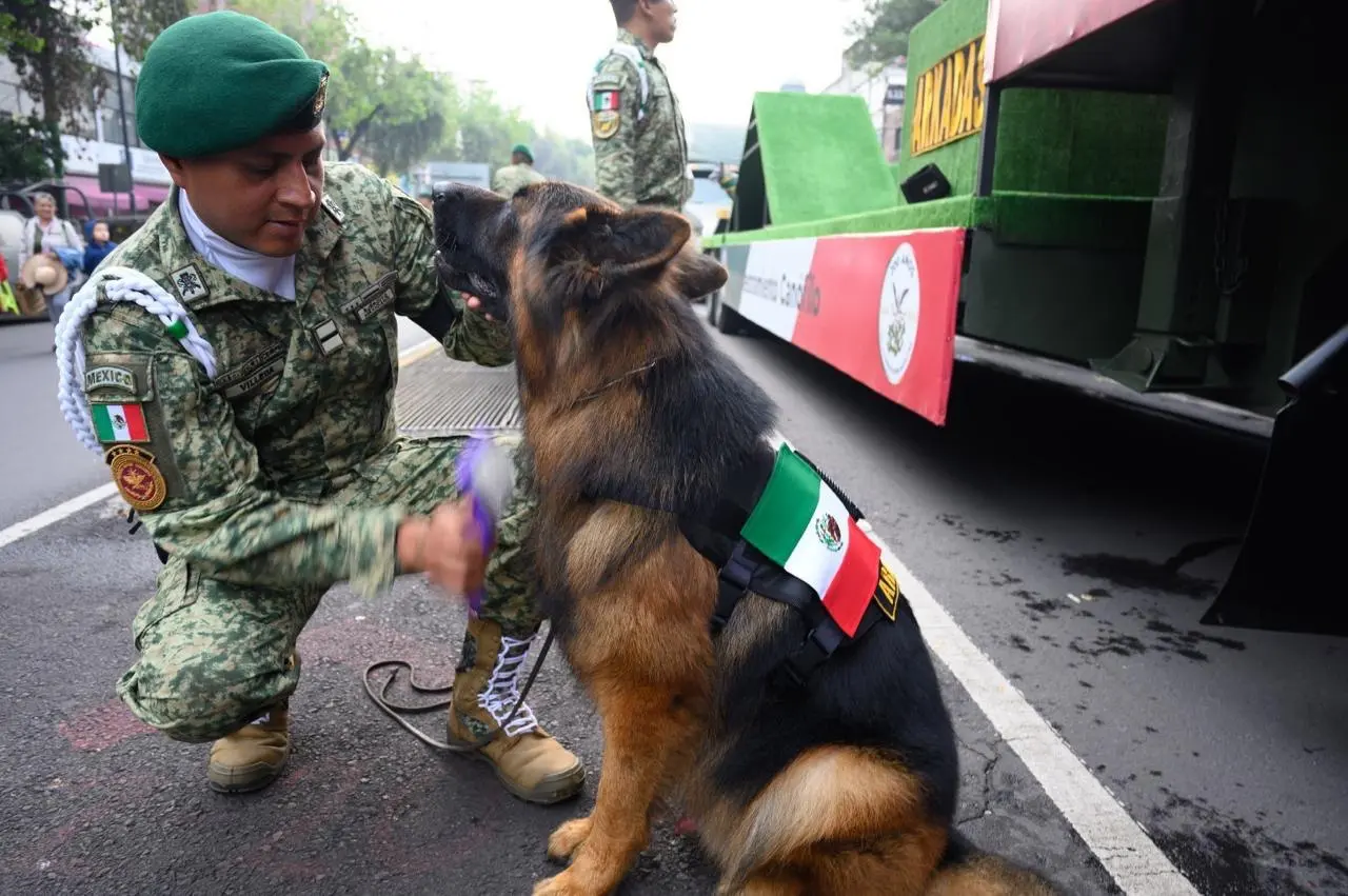 Binomios caninos preparándose para el desfile militar.