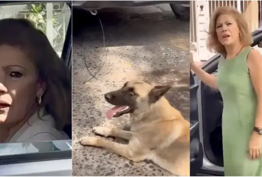 Mujer amarra a perrito a su camioneta y lo arrastra en Jalisco