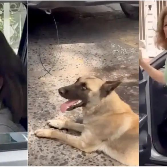 Mujer amarra a perrito a su camioneta y lo arrastra porque se la dañó