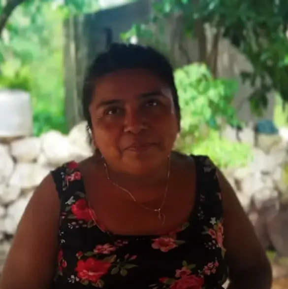 Familia rechaza oferta de un millón de dólares por su casa con un cenote en Yucatán