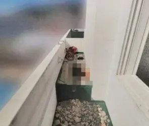 Hombre mató a su novia y la escondió bajo concreto 