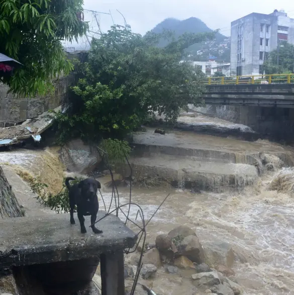 Acapulco unido: los impresionantes rescates de las víctimas tras el paso del huracán John