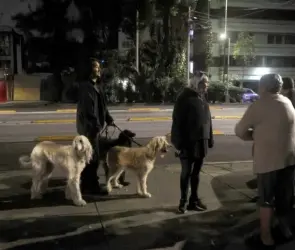 Alerta sísmica y microsismos en la CDMX este 26 de septiembre