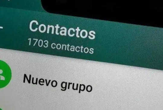 ¿Cómo saber cómo me tienen agregado en WhatsApp? 